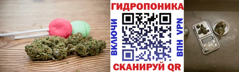 сайты даркнета состав  Николаевск  Canna-Cookies конопля 