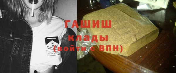 крисы Алзамай