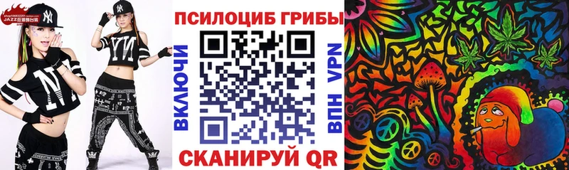 Псилоцибиновые грибы мицелий  купить наркоту  Николаевск 